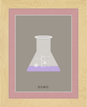 Load image into Gallery viewer, ERLENMEYER FLASK (LAB COLLECTION) 8x11