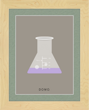 Load image into Gallery viewer, ERLENMEYER FLASK (LAB COLLECTION) 8x11