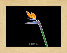 Load image into Gallery viewer, BIRD OF PARADISE 8x11