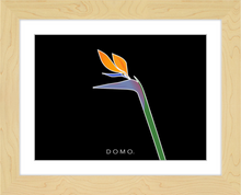 Load image into Gallery viewer, BIRD OF PARADISE 8x11