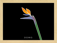 Load image into Gallery viewer, BIRD OF PARADISE 22x16