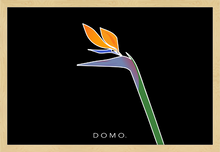 Load image into Gallery viewer, BIRD OF PARADISE 36x24
