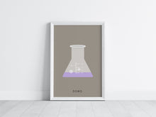 Load image into Gallery viewer, ERLENMEYER FLASK (LAB COLLECTION) 8x11