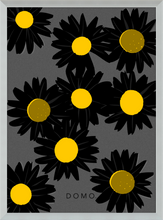 Load image into Gallery viewer, BLACK DAISIES 8x11
