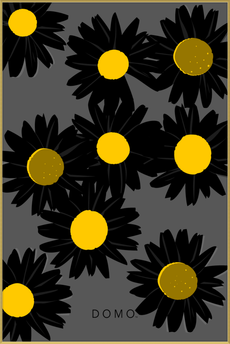 BLACK DAISIES 40x60