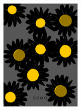 Load image into Gallery viewer, BLACK DAISIES 8x11
