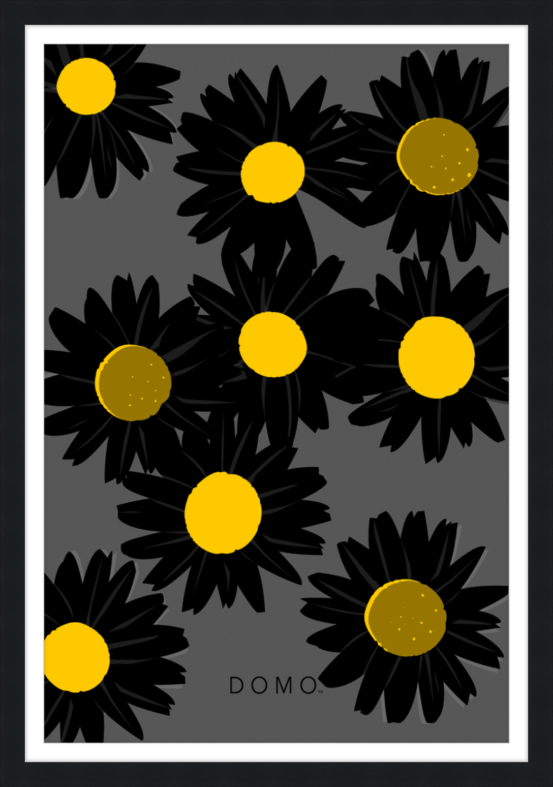 BLACK DAISIES 24x36