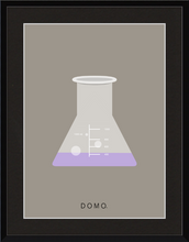 Load image into Gallery viewer, ERLENMEYER FLASK (LAB COLLECTION) 8x11
