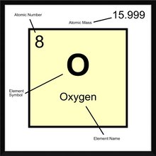 Load image into Gallery viewer, OXYGEN (LAB COLLECTION)12x12
