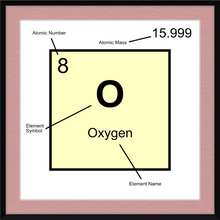 Load image into Gallery viewer, OXYGEN (LAB COLLECTION)12x12
