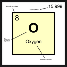 Load image into Gallery viewer, OXYGEN (LAB COLLECTION)12x12
