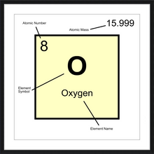 Load image into Gallery viewer, OXYGEN (LAB COLLECTION)12x12
