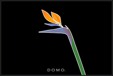 Load image into Gallery viewer, BIRD OF PARADISE 60x40
