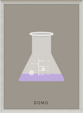 Load image into Gallery viewer, ERLENMEYER FLASK (LAB COLLECTION) 8x11
