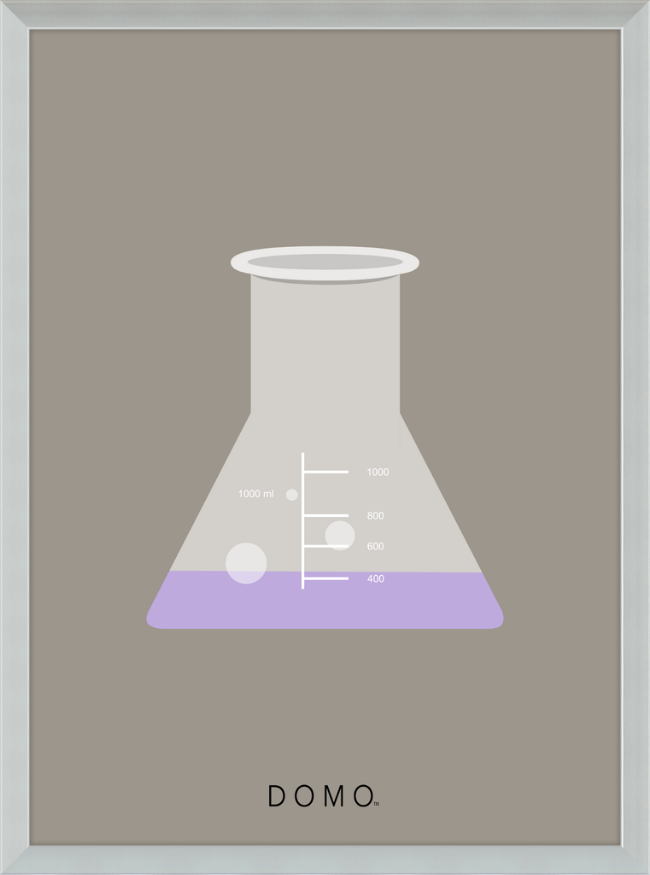 ERLENMEYER FLASK (LAB COLLECTION) 8x11