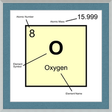 Load image into Gallery viewer, OXYGEN (LAB COLLECTION)12x12
