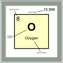 Load image into Gallery viewer, OXYGEN (LAB COLLECTION)12x12
