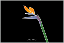 Load image into Gallery viewer, BIRD OF PARADISE 60x40
