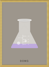 Load image into Gallery viewer, ERLENMEYER FLASK (LAB COLLECTION) 8x11
