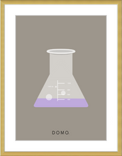 Load image into Gallery viewer, ERLENMEYER FLASK (LAB COLLECTION) 8x11
