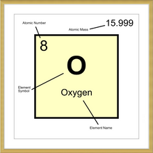 Load image into Gallery viewer, OXYGEN (LAB COLLECTION)12x12
