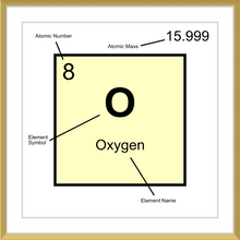 Load image into Gallery viewer, OXYGEN (LAB COLLECTION)12x12
