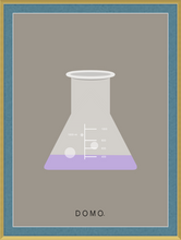 Load image into Gallery viewer, ERLENMEYER FLASK (LAB COLLECTION) 16x22
