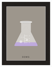 Load image into Gallery viewer, ERLENMEYER FLASK (LAB COLLECTION) 8x11
