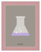 Load image into Gallery viewer, ERLENMEYER FLASK (LAB COLLECTION) 8x11
