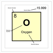 Load image into Gallery viewer, OXYGEN (LAB COLLECTION)12x12
