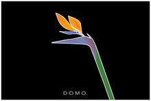 Load image into Gallery viewer, BIRD OF PARADISE 60x40
