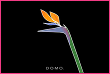 Load image into Gallery viewer, BIRD OF PARADISE 60x40
