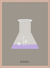 Load image into Gallery viewer, ERLENMEYER FLASK (LAB COLLECTION) 8x11
