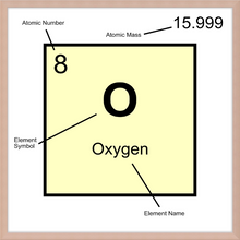 Load image into Gallery viewer, OXYGEN (LAB COLLECTION)12x12
