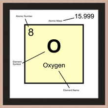 Load image into Gallery viewer, OXYGEN (LAB COLLECTION)12x12
