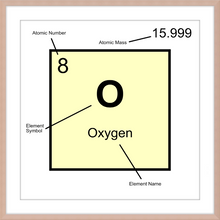 Load image into Gallery viewer, OXYGEN (LAB COLLECTION)12x12
