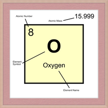 Load image into Gallery viewer, OXYGEN (LAB COLLECTION)12x12
