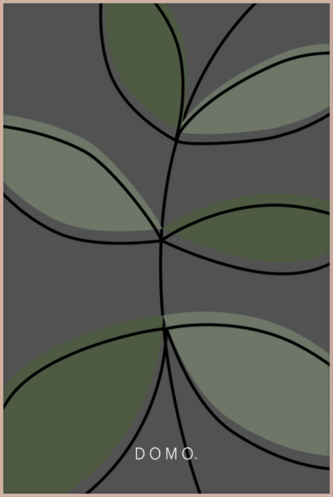 OLIVE FERN 40x60