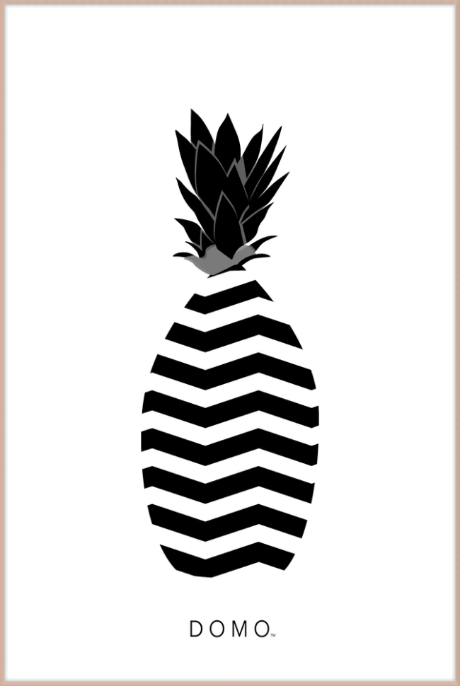 ABSTRACT PINEAPPLE B&W 40x60