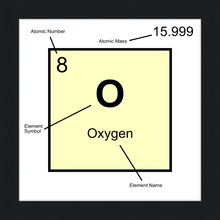 Load image into Gallery viewer, OXYGEN (LAB COLLECTION)12x12
