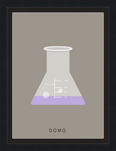 Load image into Gallery viewer, ERLENMEYER FLASK (LAB COLLECTION) 16x22
