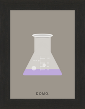 Load image into Gallery viewer, ERLENMEYER FLASK (LAB COLLECTION) 8x11
