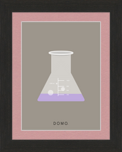 Load image into Gallery viewer, ERLENMEYER FLASK (LAB COLLECTION) 8x11
