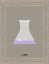 Load image into Gallery viewer, ERLENMEYER FLASK (LAB COLLECTION) 8x11
