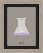 Load image into Gallery viewer, ERLENMEYER FLASK (LAB COLLECTION) 8x11
