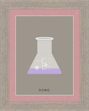 Load image into Gallery viewer, ERLENMEYER FLASK (LAB COLLECTION) 8x11
