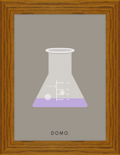 Load image into Gallery viewer, ERLENMEYER FLASK (LAB COLLECTION) 8x11
