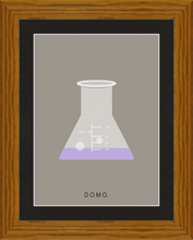 Load image into Gallery viewer, ERLENMEYER FLASK (LAB COLLECTION) 8x11
