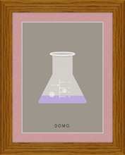 Load image into Gallery viewer, ERLENMEYER FLASK (LAB COLLECTION) 8x11
