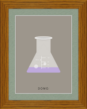 Load image into Gallery viewer, ERLENMEYER FLASK (LAB COLLECTION) 8x11
